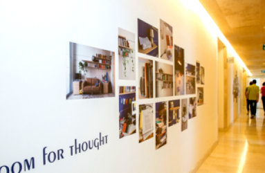 תוכנית מנהיגות של מנדל